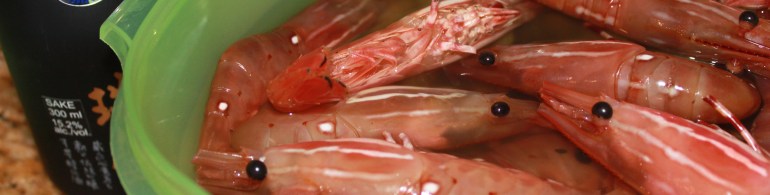 IMG_8853 - Version 2